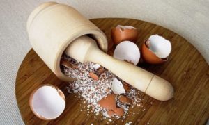 Лечение остеопороза яичной скорлупой